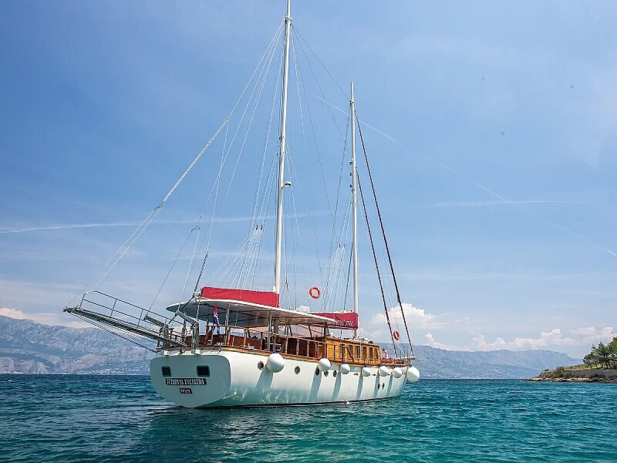 1897802870000101476_Morning_Star_ext12