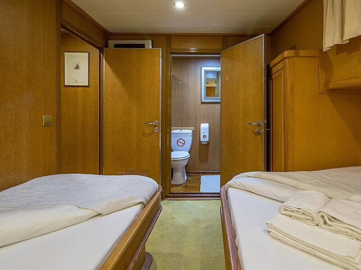 1897803620000101476_Morning_Star_int16