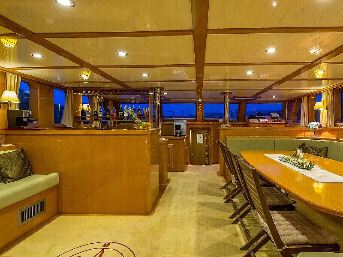 1897803830000101476_Morning_Star_int22