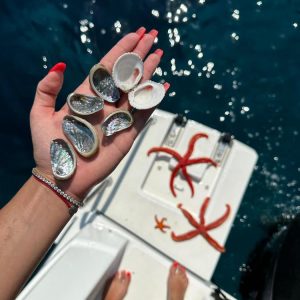 Fresh seashells and starfish held aboard a yacht in Croatia.
